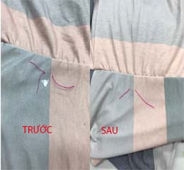 Mẫu 4
